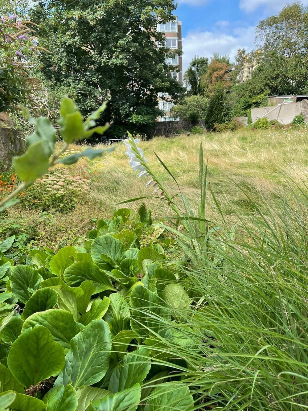 One Bed Garden Flat - Prime Location - Free Onsite Parking - Own Entrance * Hove